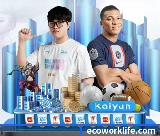 华体会官网登录入口 APP
